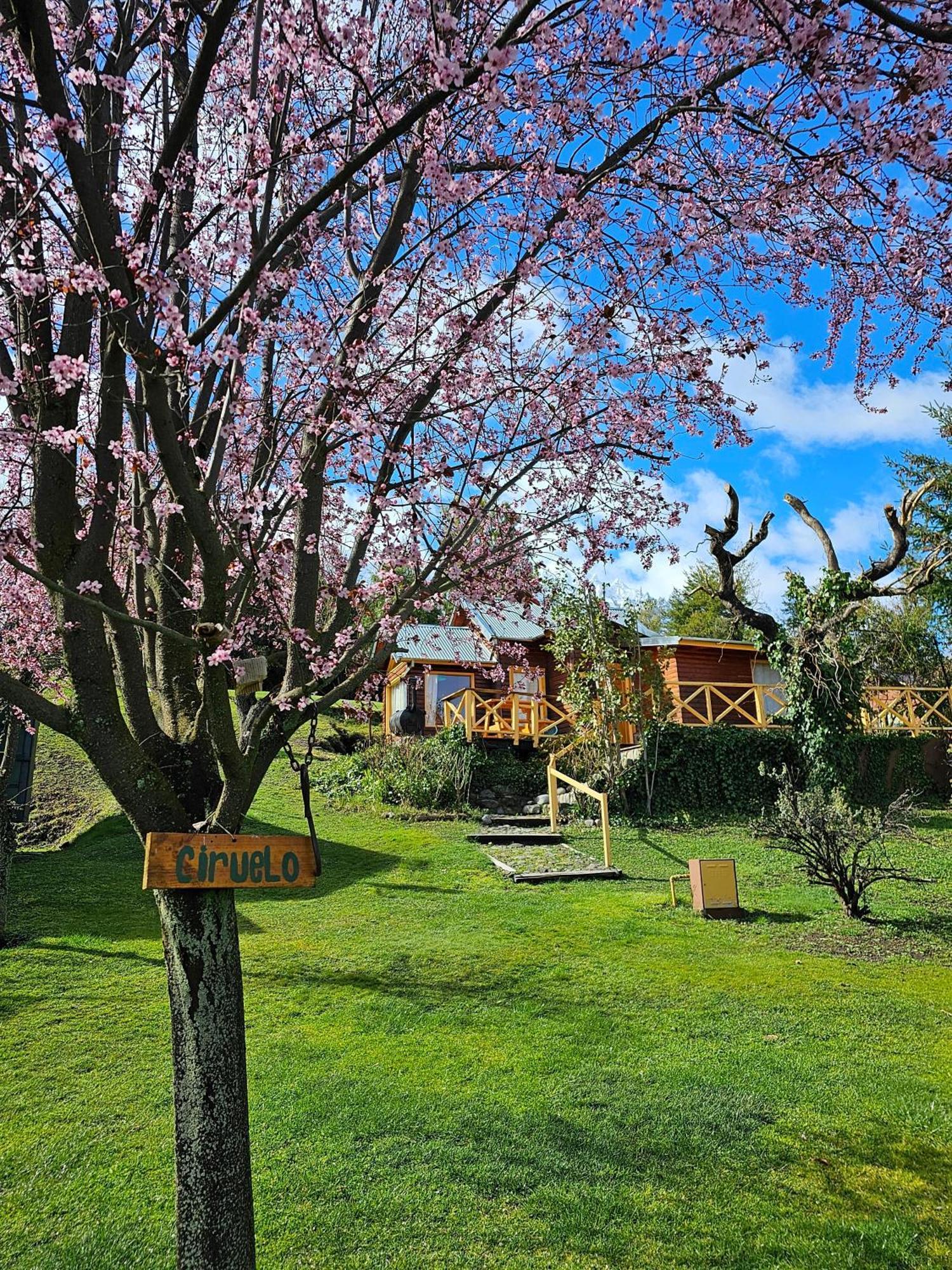 La Yaya - Villa Turismo El Bolson Ngoại thất bức ảnh